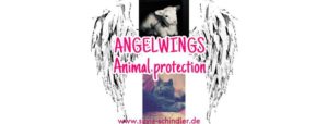 angelwings logo